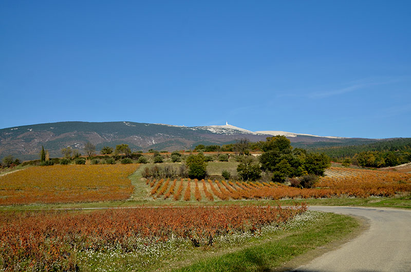 Le village de Blauvac